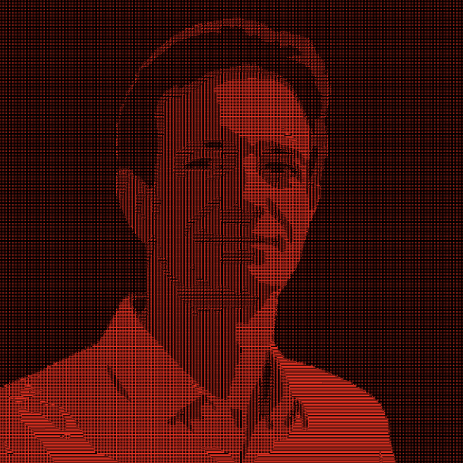 Renaud Deraison's portrait